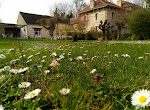 Photos de Grands Chatelliers: Gîte et Chambre d'hôtes en campagne, idéal randonnées, proche Pithiviers, Loiret, Centre-Val de Loire n°13