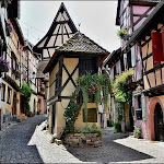 Photos de Fleur de vigne Eguisheim n°5