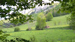 Photos de Chalet Nature Vercors n°18