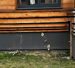 Photos de Chalets des Sapins n°6