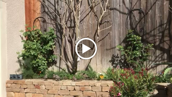 Photos de Une Odeur de Tilleul. Charme, piscine, au calme pour particuliers et professionnels n°9