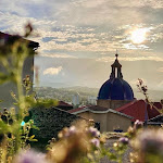 Photos de Une Odeur de Tilleul. Charme, piscine, au calme pour particuliers et professionnels n°12