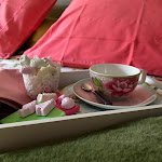 Photos de Une Odeur de Tilleul. Charme, piscine, au calme pour particuliers et professionnels n°14