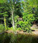 Photos de Les cabanes au bord du Lac n°13