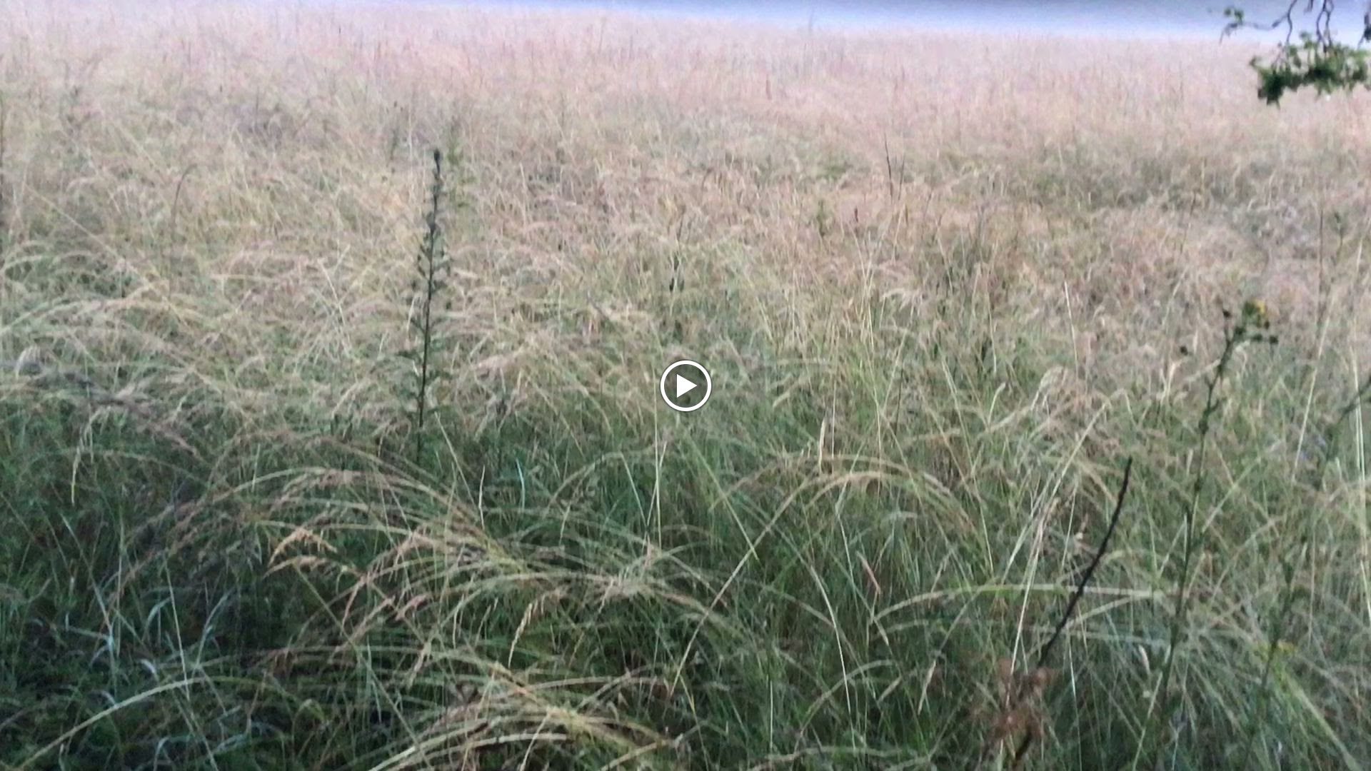 Photos de Gîte Le Clos de la Saugeure n°21