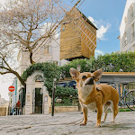 Photos de MONTMARTRE ROMANTIC, Bed & Breakfast - Paris n°2