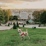 Photos de MONTMARTRE ROMANTIC, Bed & Breakfast - Paris n°16