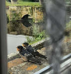 Photos de Chambres d'hôtes - Au Pied du Pont n°12