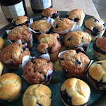 Photos de Les Arums de Sanguinet n°16