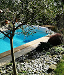 Photos de L'Oasis Landevennec n°5