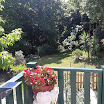 Photos de Villa Roxane Arcachon n°10