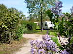 Photos de Camping de Gourjade n°11