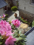 Photos de Le Grand Logis n°14