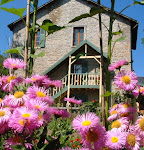 Photos de Les Cerisiers B&B n°5