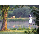 Photos de l'orée de la forêt n°15