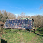 Photos de l' Arbre qui Marche n°4