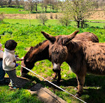 Photos de Chez Kahina ancien hôtel Robert n°8