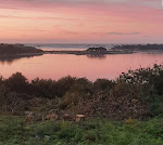 Photos de Camping chez l'habitant bord de mer randonneurs Gr34 n°3