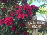 Photos de La Blanche Roche n°3