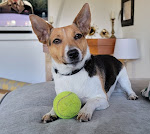 Photos de Loup Castel Boutique Hotel B&B n°6