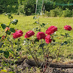 Photos de Domaine de la Chesnaie n°8