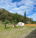Photos de Cami de San Ferreol n°2