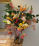 Photos de Nuage n°11