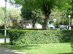 Photos de Camping des Ribières n°16