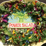 Photos de PowerSalad Farm n°4