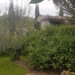 Photos de L'éveil en chemin n°6