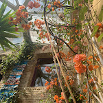 Photos de Purple House n°4