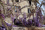 Photos de La maison WISTERIA n°6
