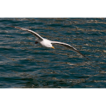 Photos de Locations de vacances en Bretagne - location saisonnière n°18