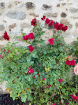 Photos de Logis les Roses n°14