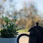 Photos de Le Bourg Joly n°6