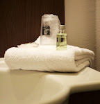 Photos de Comfort Suites Rive Gauche Lyon Centre n°14