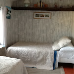 Photos de L'Orchidée n°18