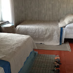 Photos de L'Orchidée n°20