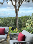 Photos de Chambre d'hôtes Corse du sud Fiore di Machja n°19