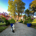 Photos de Chambres d'hôtes - La Fontaine Racine - La Ferté-Milon n°5