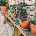 Photos de Bel Estiu, Maison d'hôtes n°14