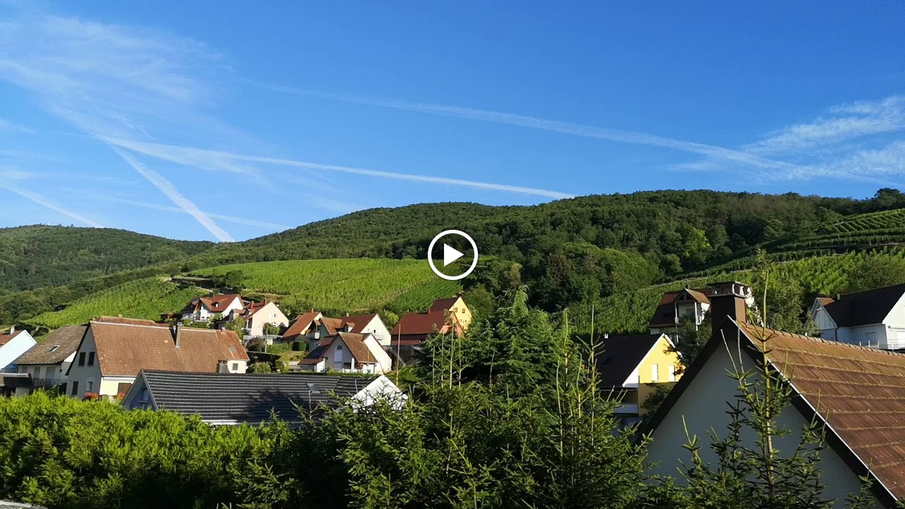 Photos de Gîte, Chambres d'hôtes les Framboises : Bed and Breakfast (Colmar Vosges Alsace) n°3