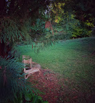 Photos de Manoir de la Salle du Roc n°19