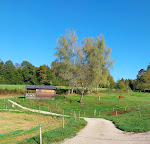 Photos de Les Chalets Spa Oxyzen n°10