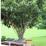 Photos de La Maison Thimadaise n°9