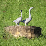 Photos de La Maison Thimadaise n°11