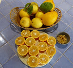 Photos de Ô Tilia d'Azur n°13