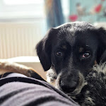 Photos de LE VERT NOMADE : CHAMBRES D'HOTES - ACTIVITES - MASSAGES n°16