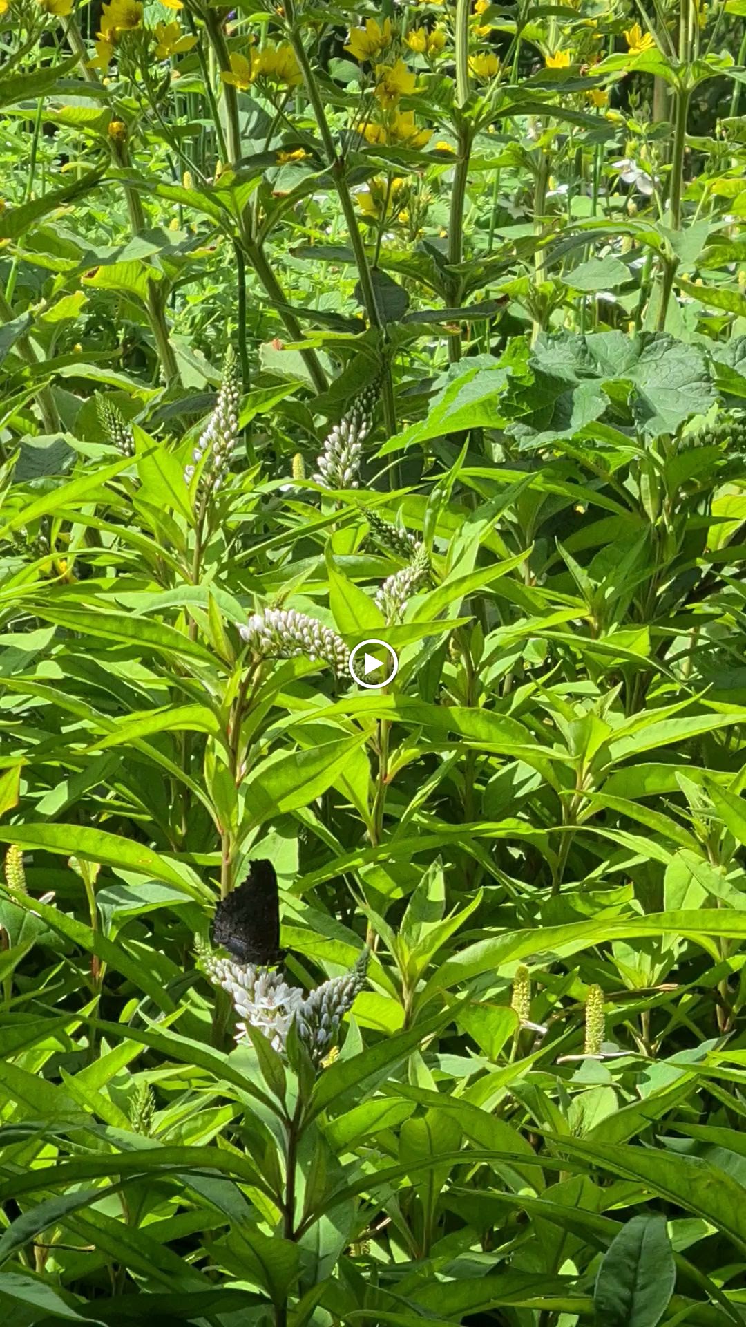 Photos de Il etait une ferme n°14