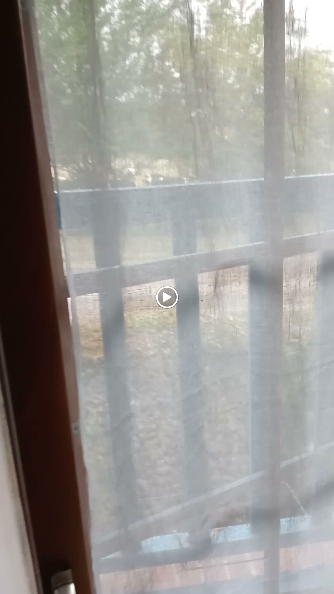 Photos de La Ferme de Plénoise Bed and Breakfast n°9